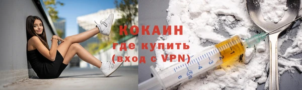 МДПВ Инта