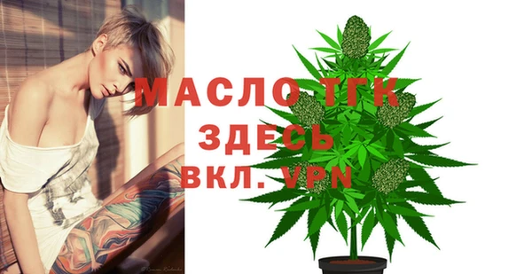 МДПВ Инта